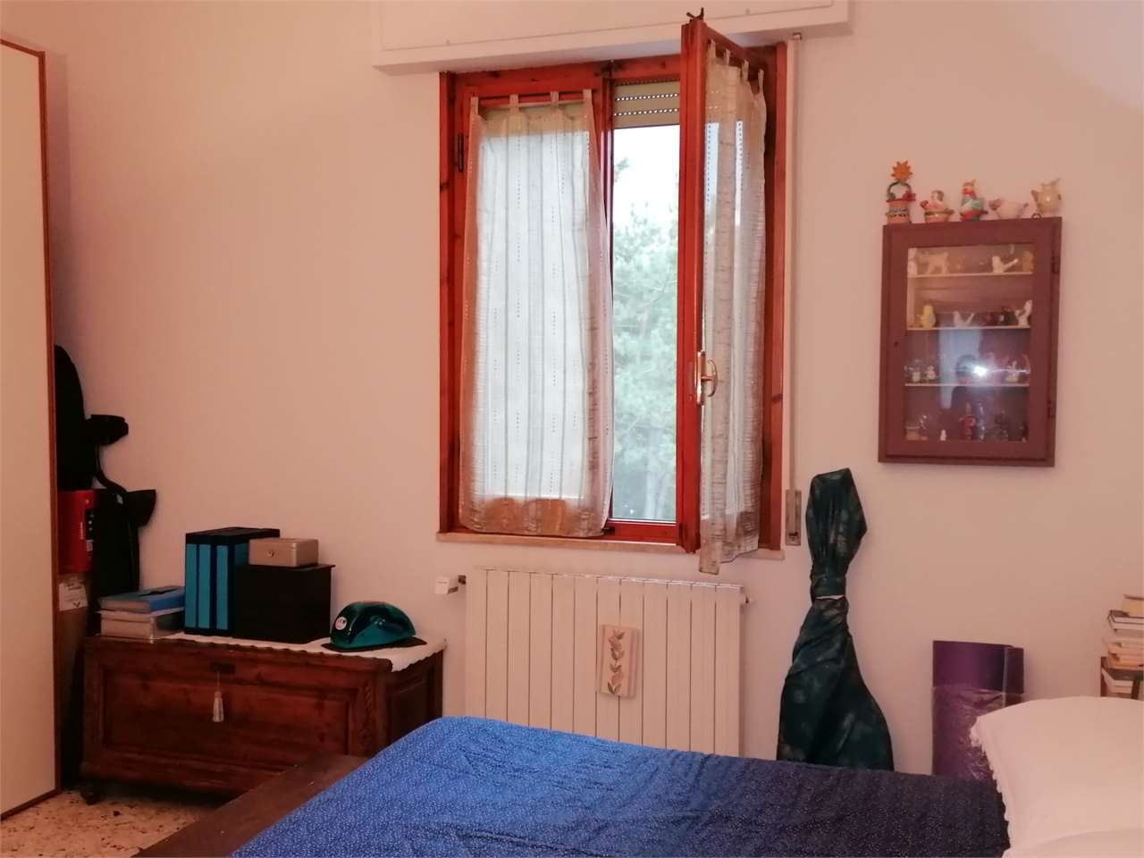  - foto 11