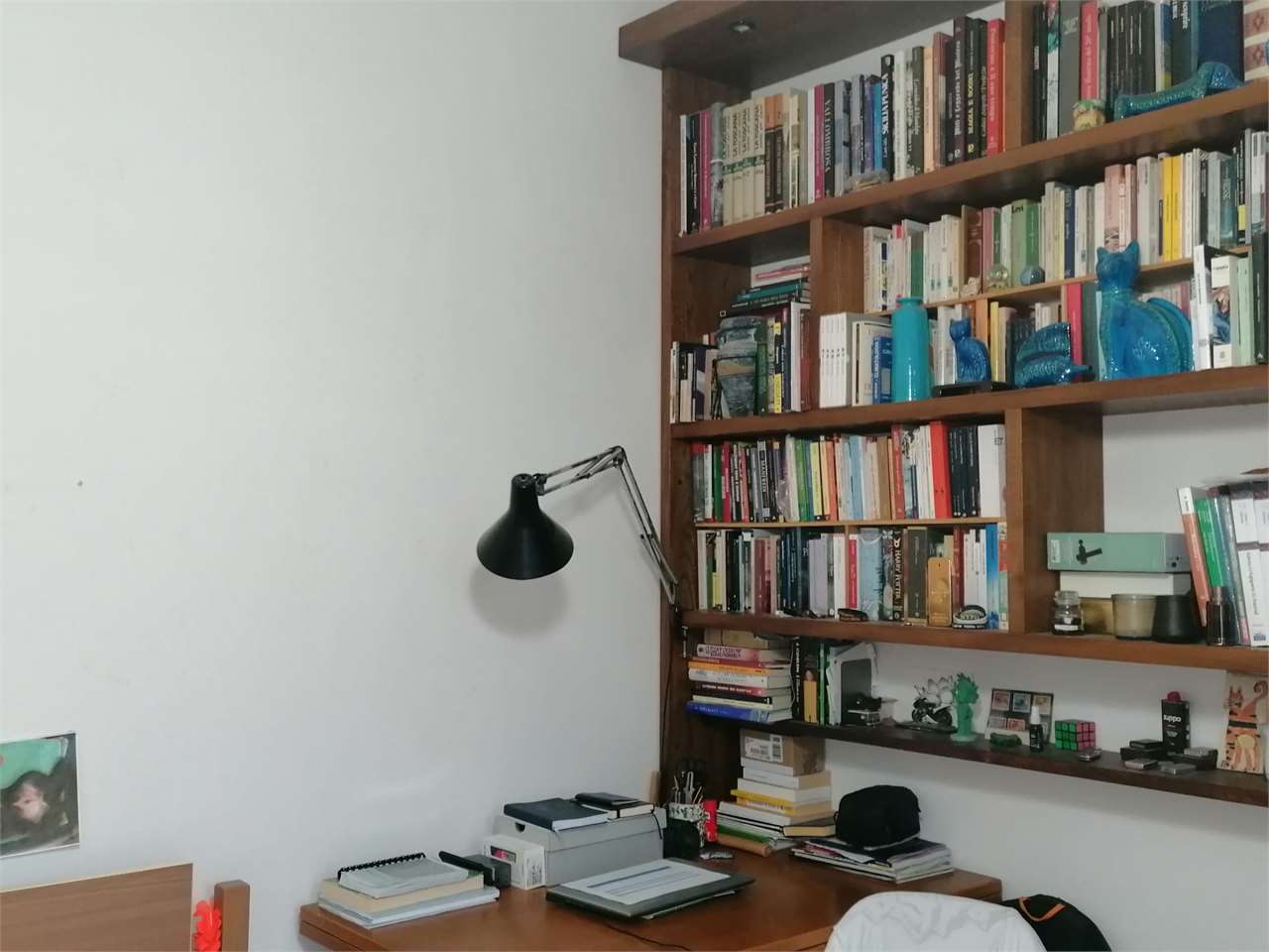  - foto 3