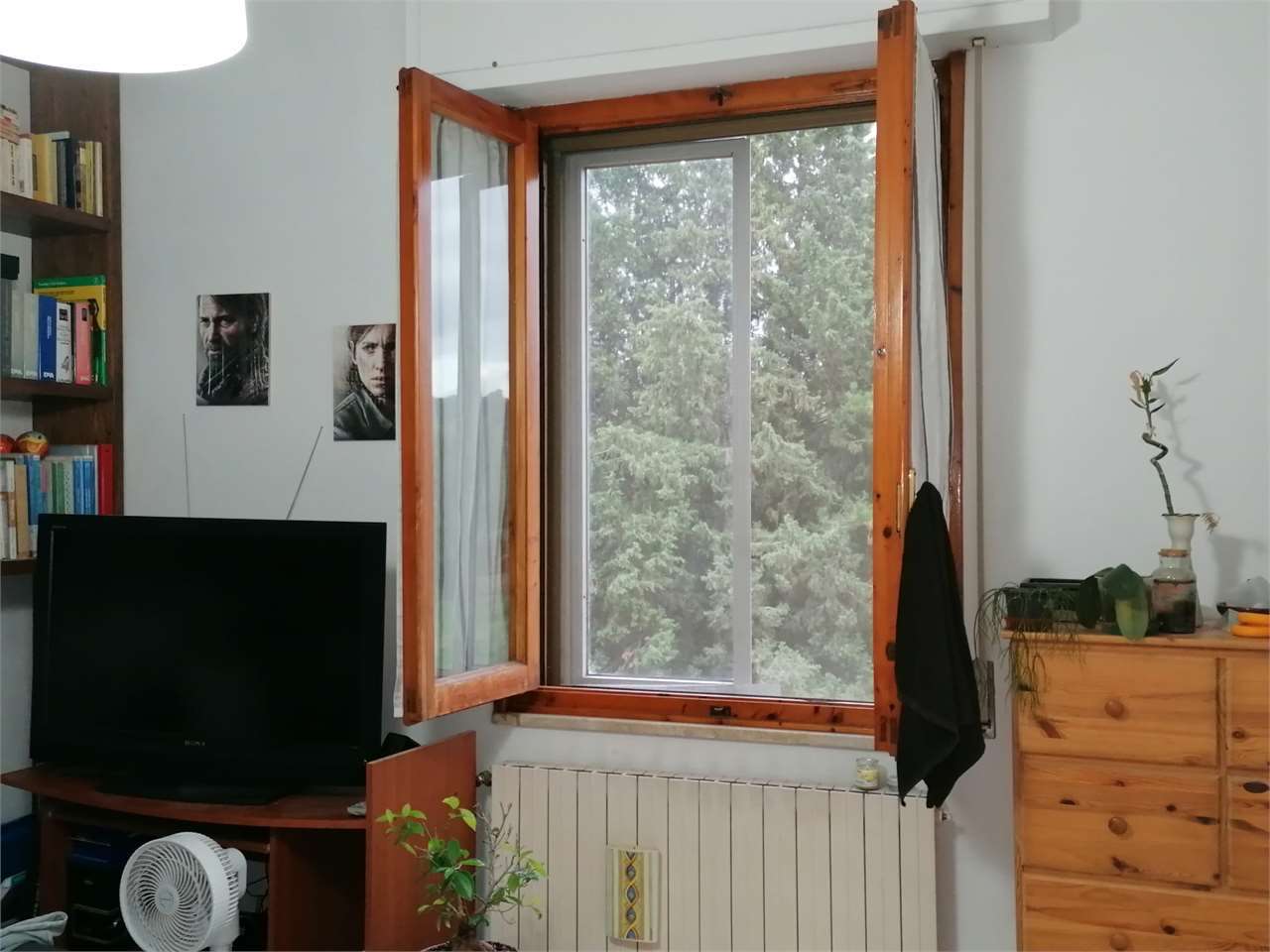  - foto 8