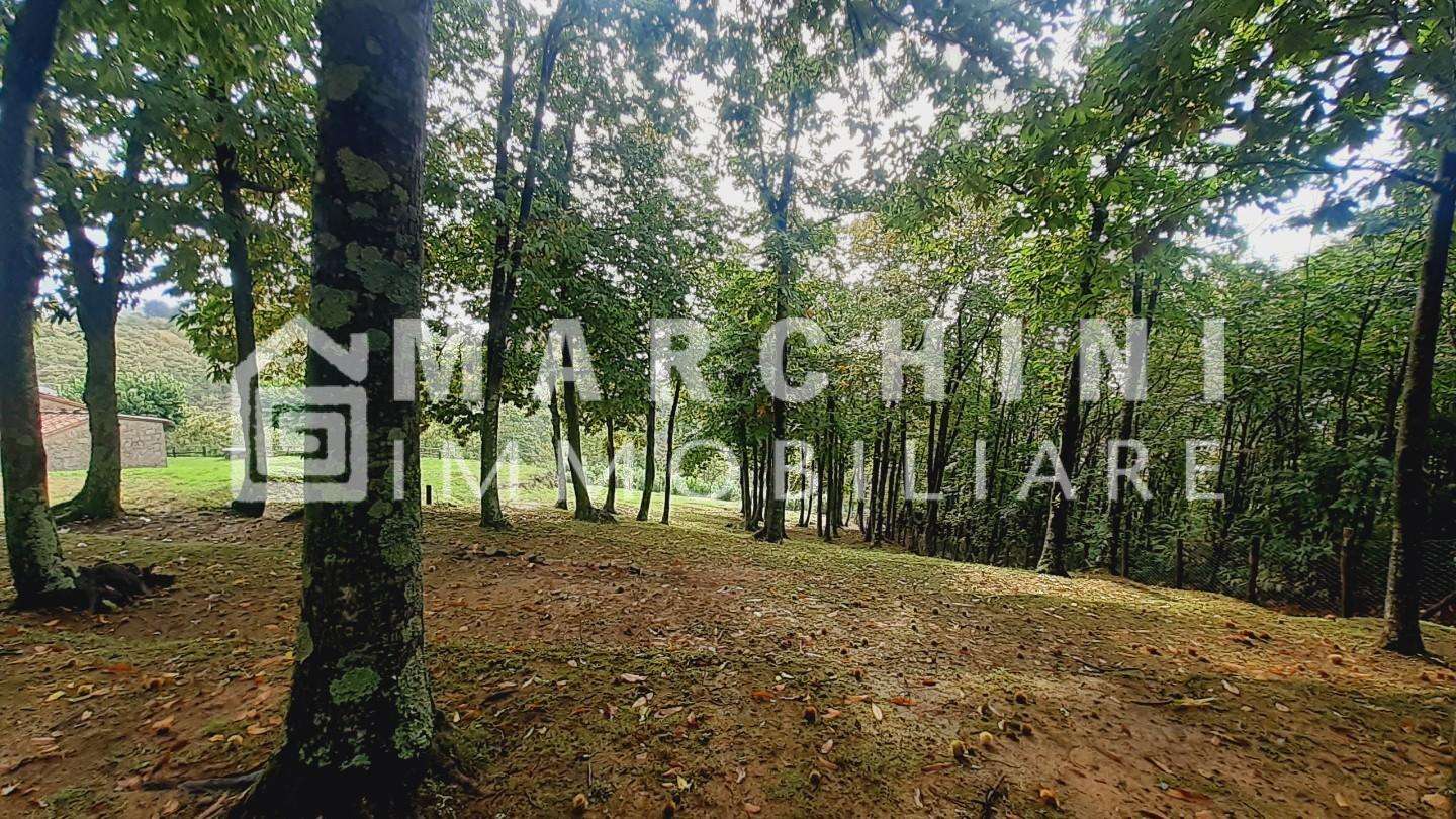  - foto 44
