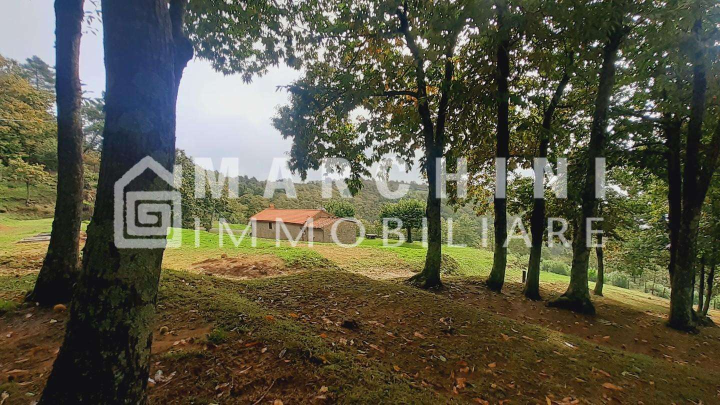  - foto 47