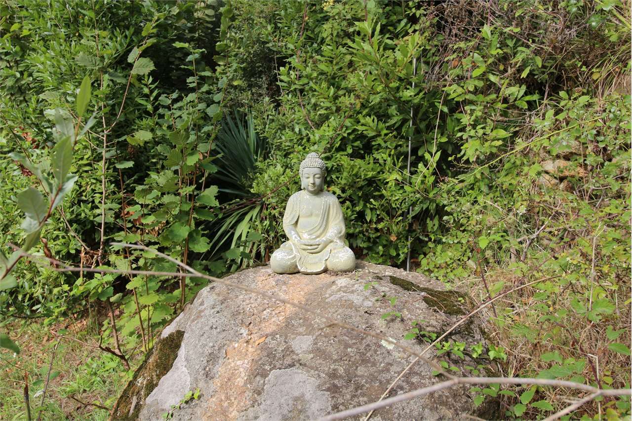  - foto 54