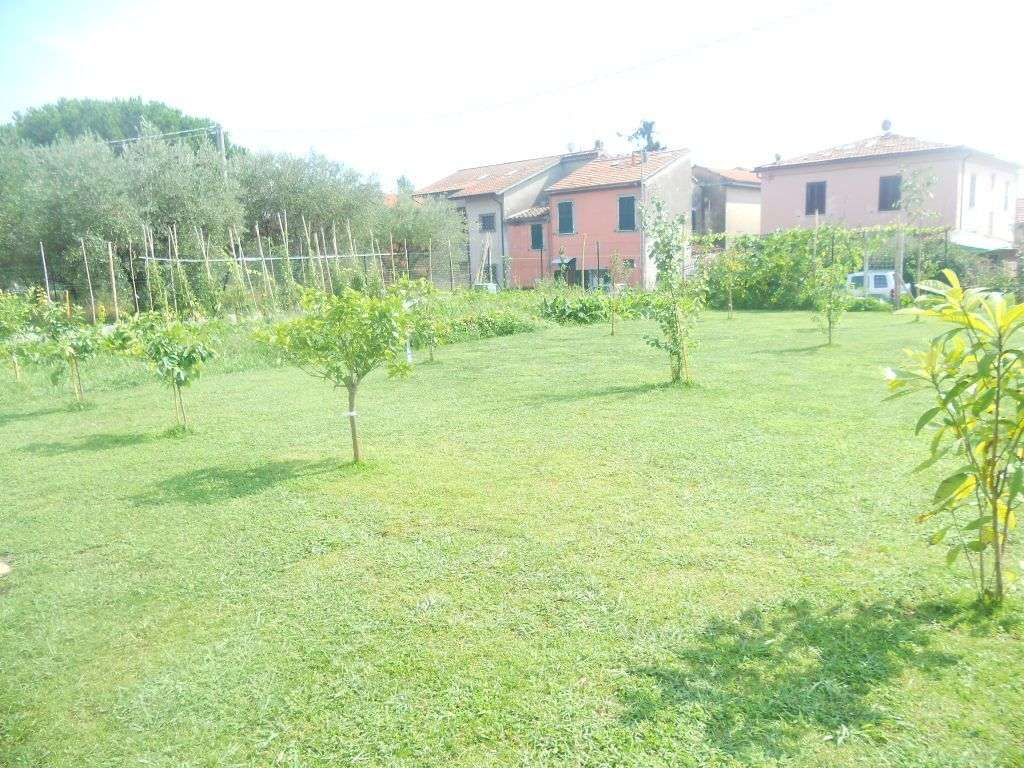 - foto 5