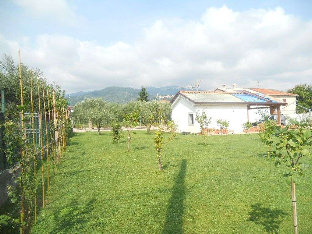  - foto 7