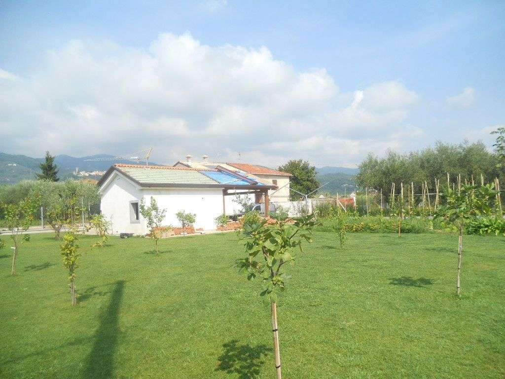  - foto 8