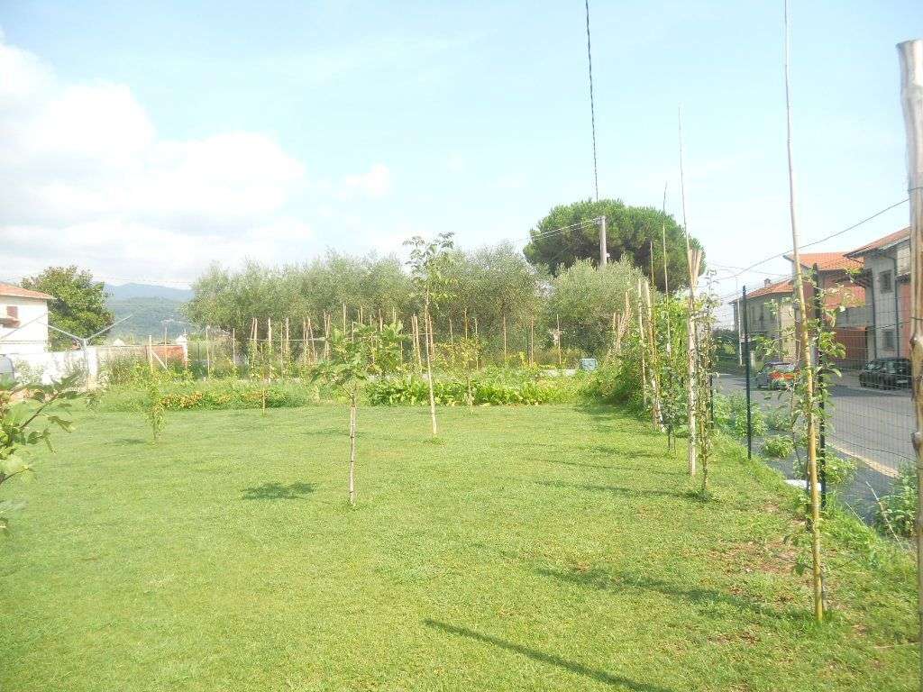  - foto 9