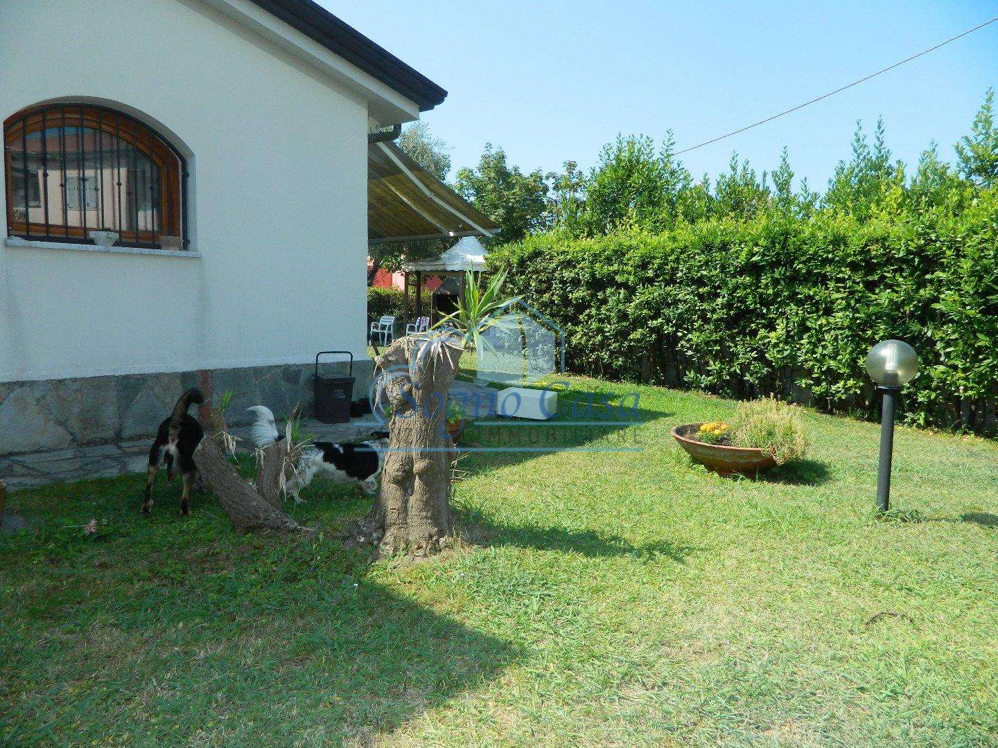  - foto 14