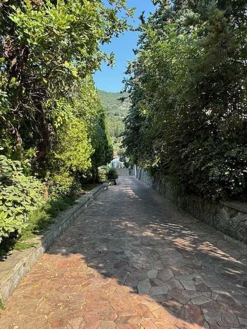  - foto 61