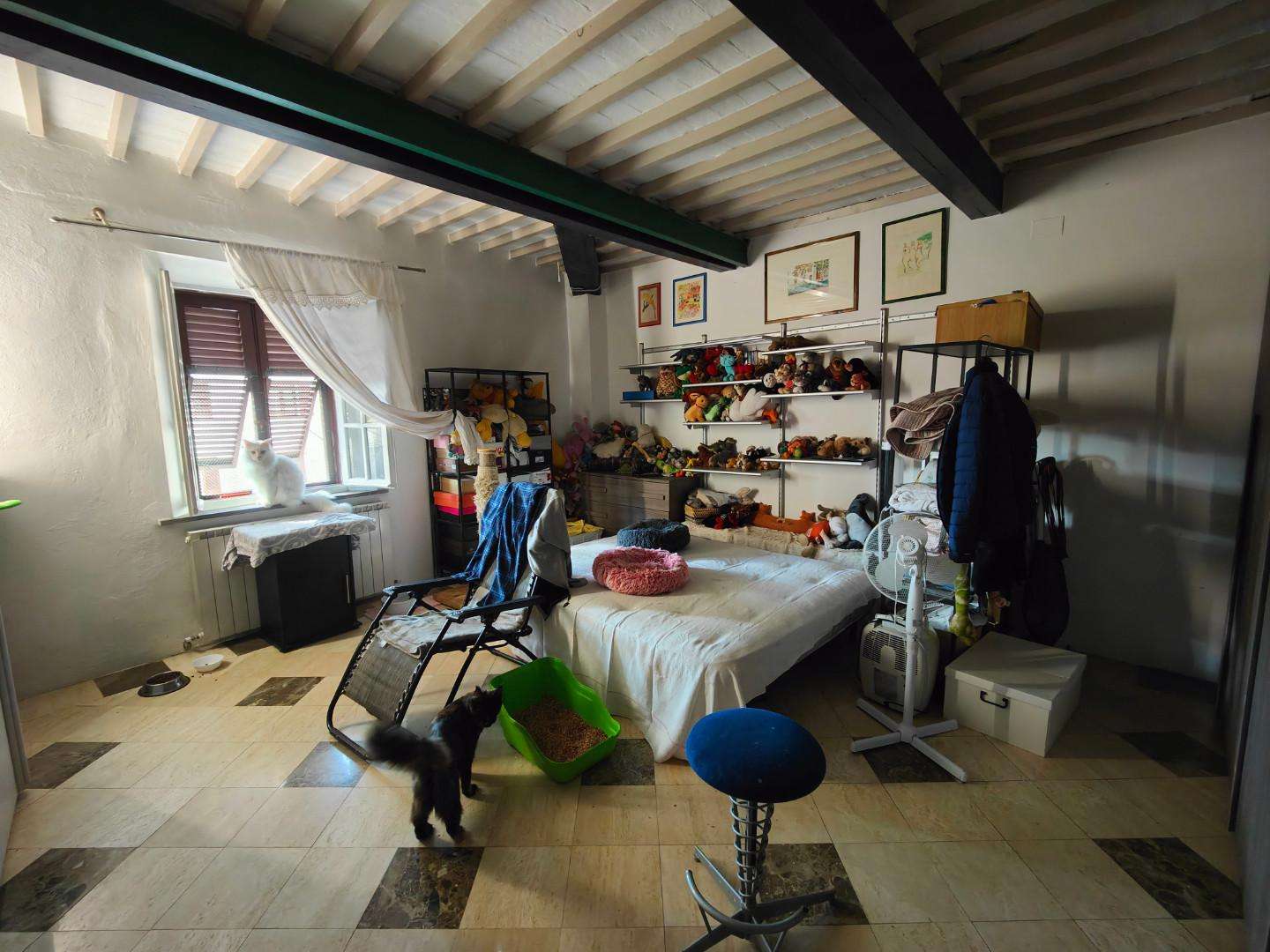  - foto 21