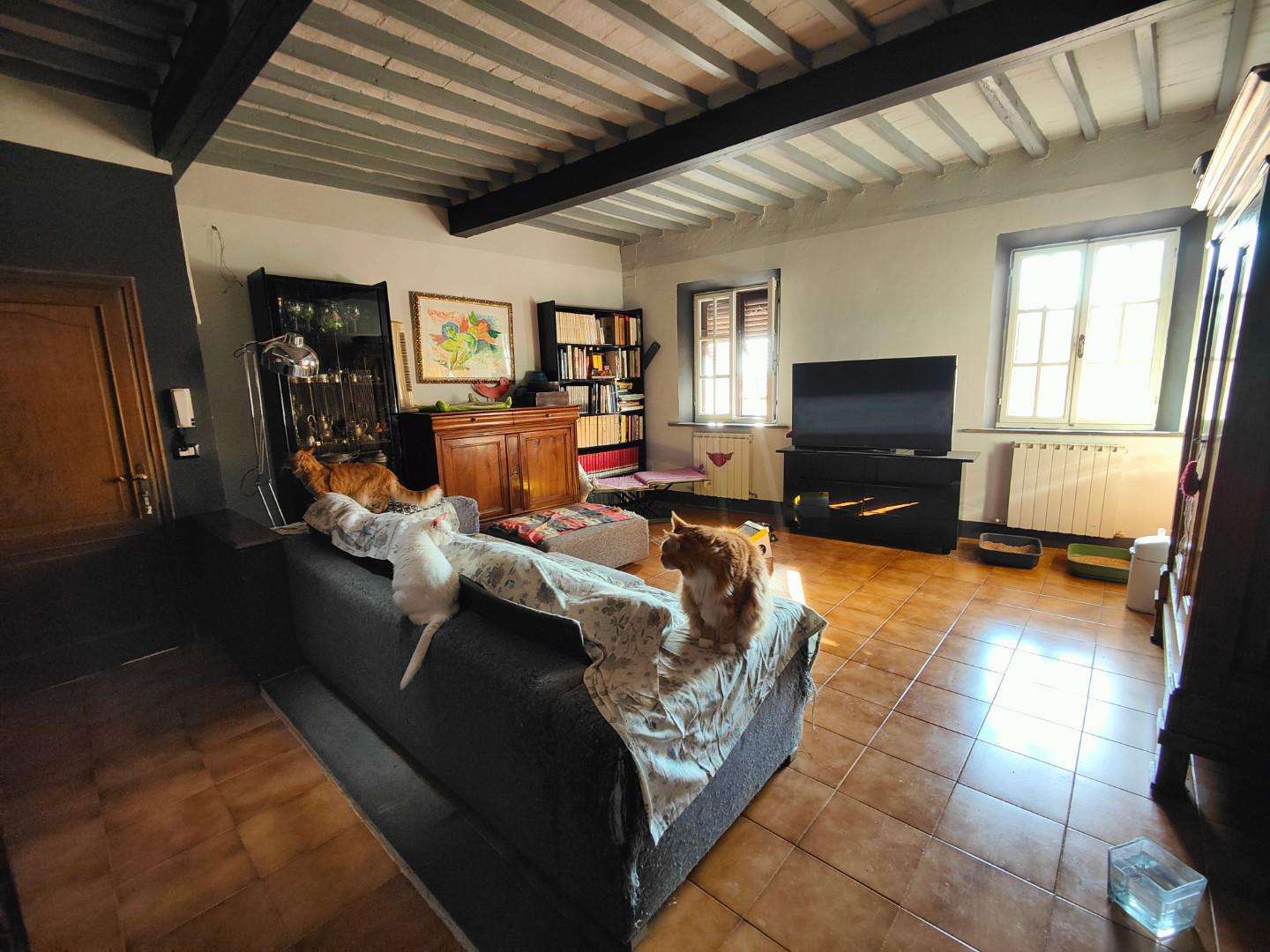  - foto 4
