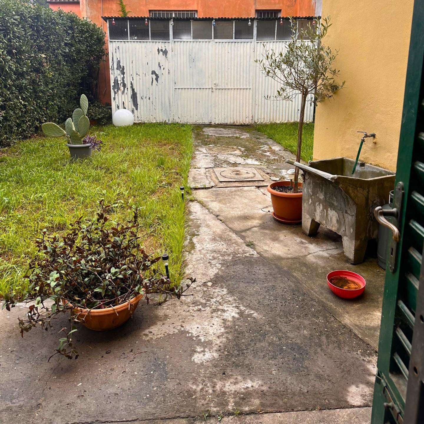  - foto 8