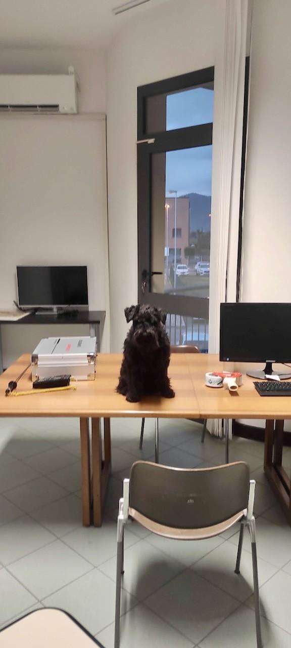  - foto 7
