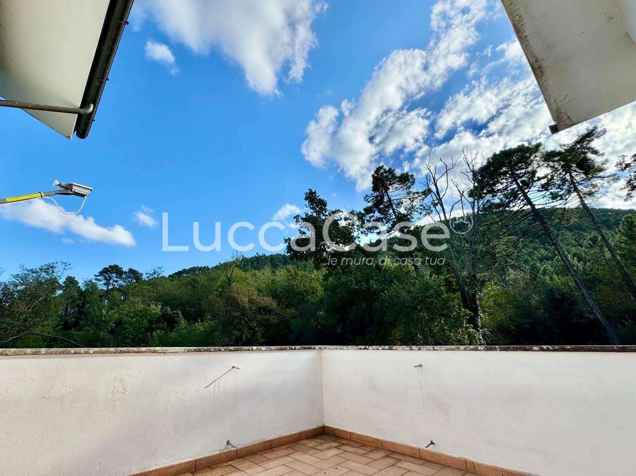  - foto 56