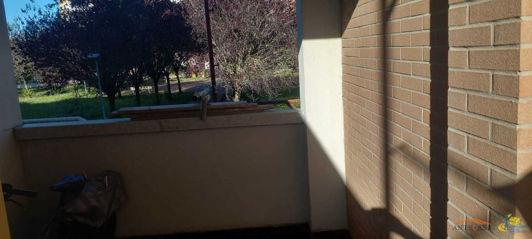  - foto 7