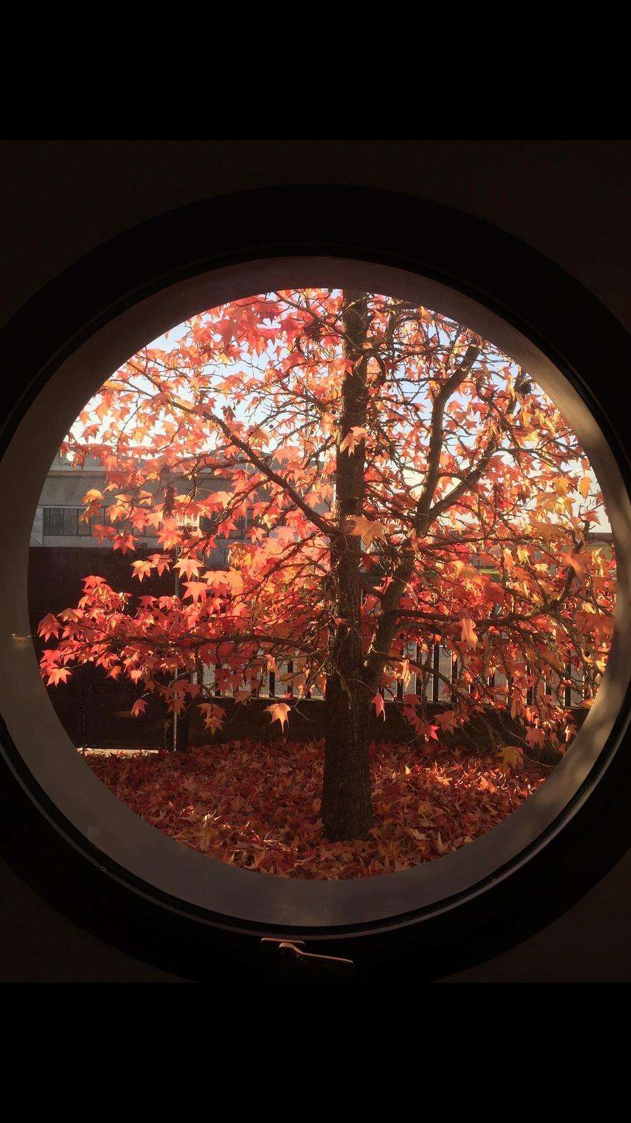  - foto 64