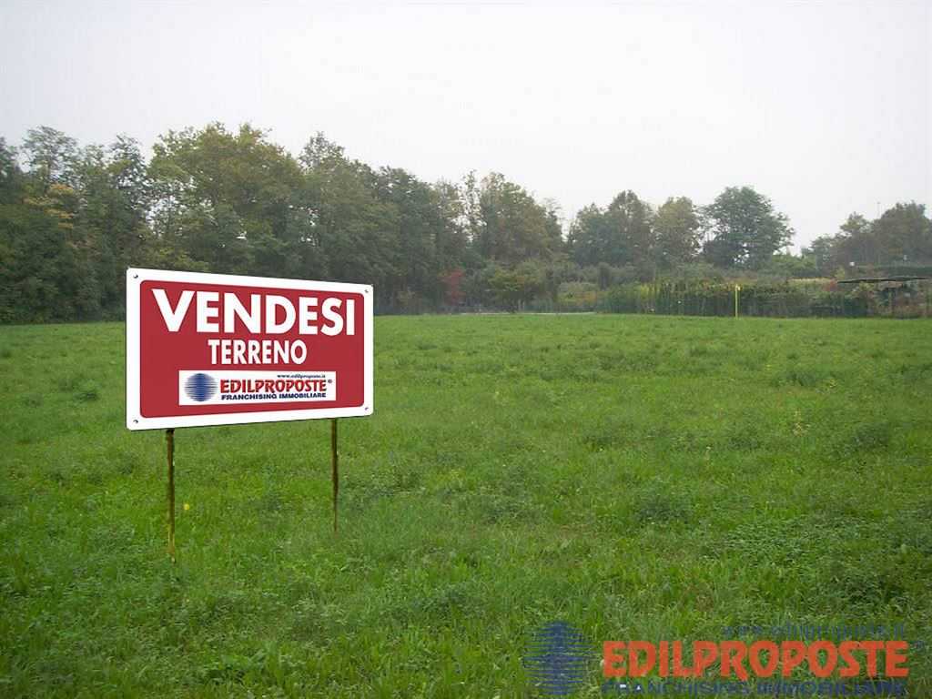 immagine annuncio 5 di 7