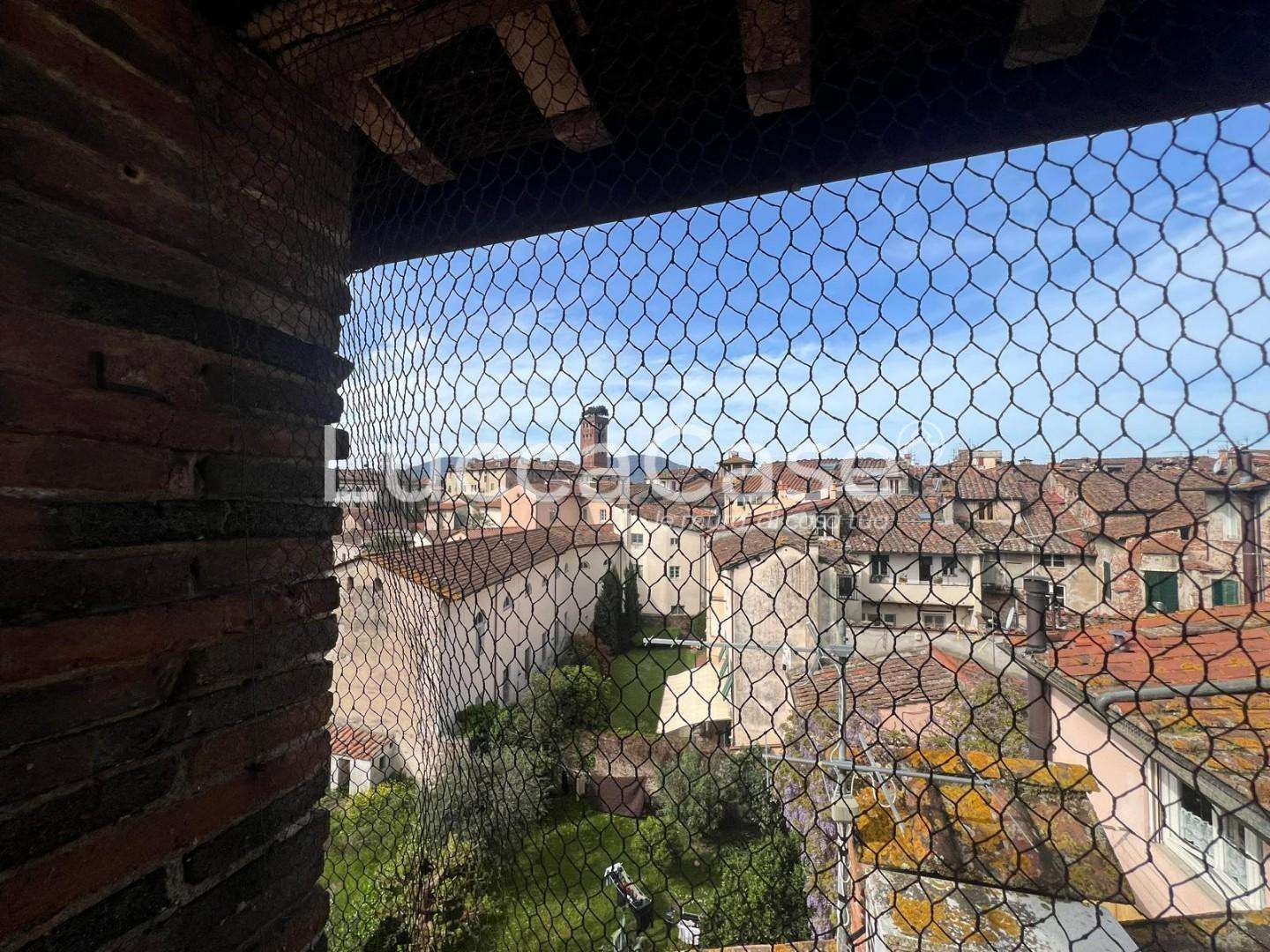  - foto 12