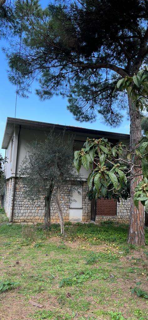  - foto 3