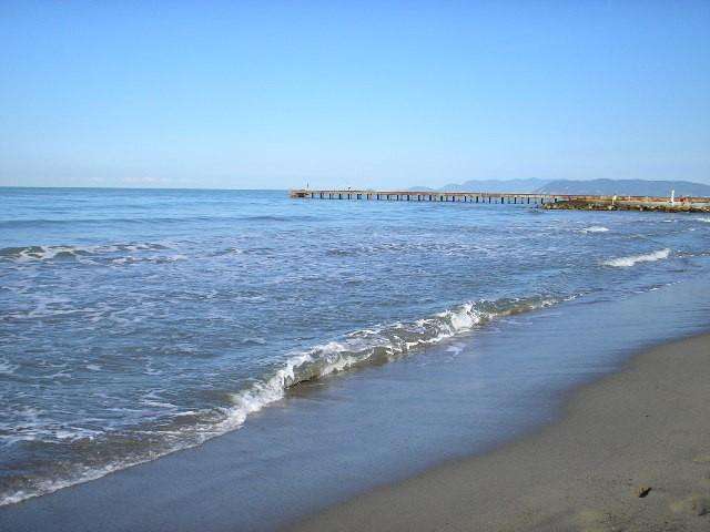  - foto 14