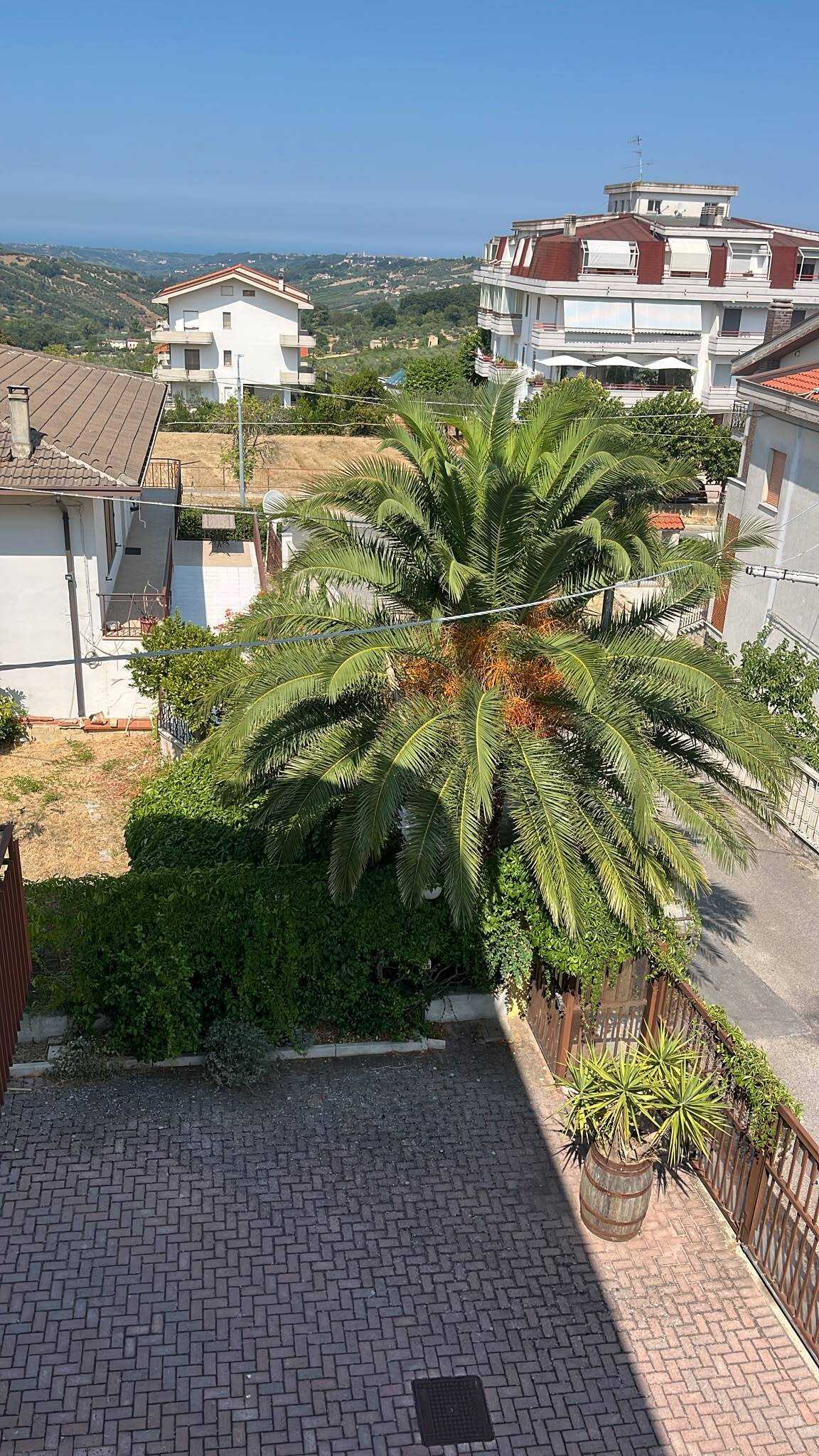  - foto 11