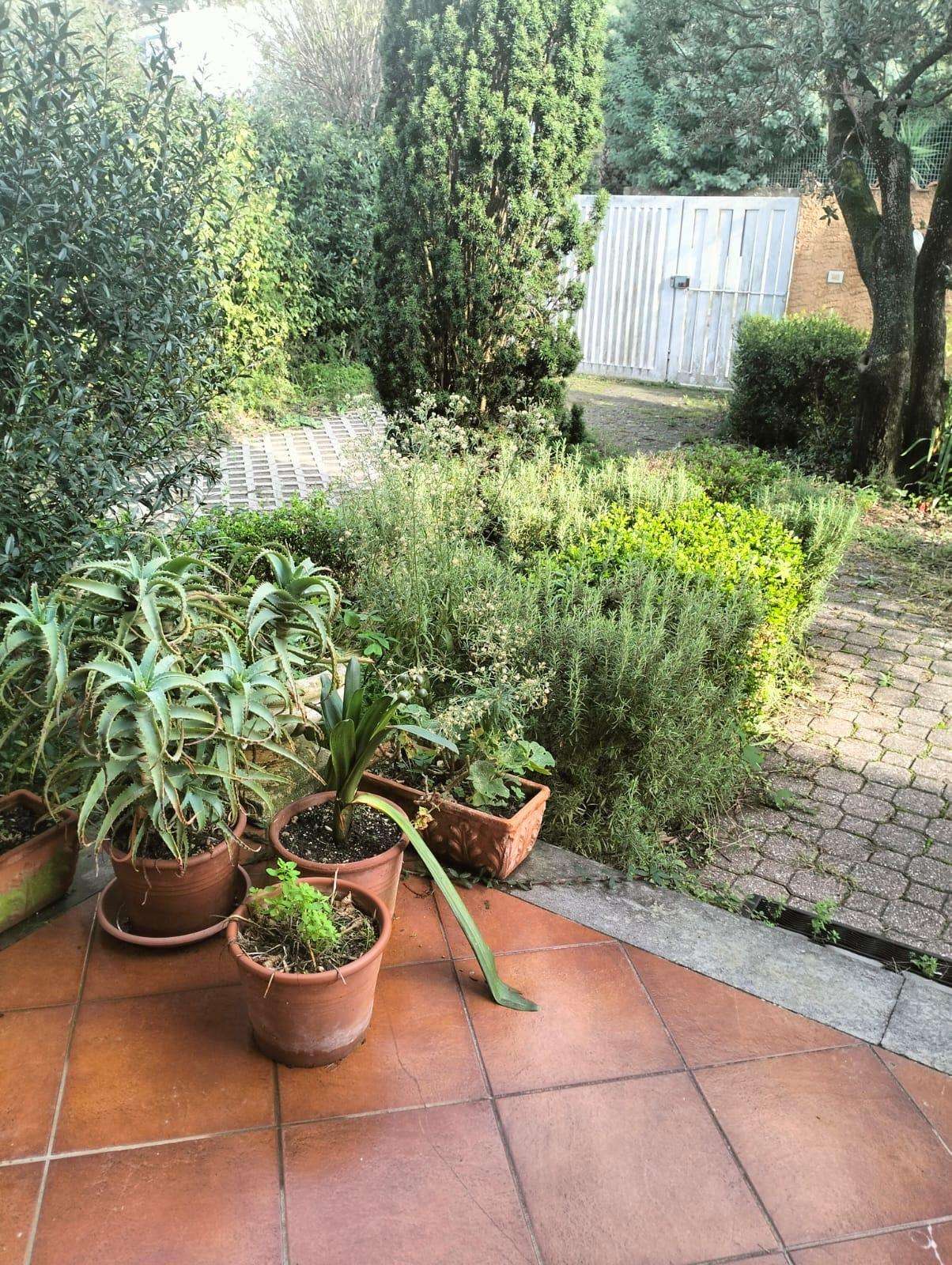 - foto 11