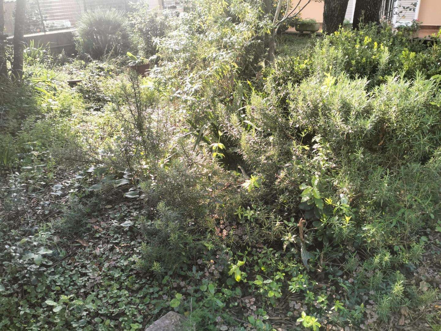  - foto 13