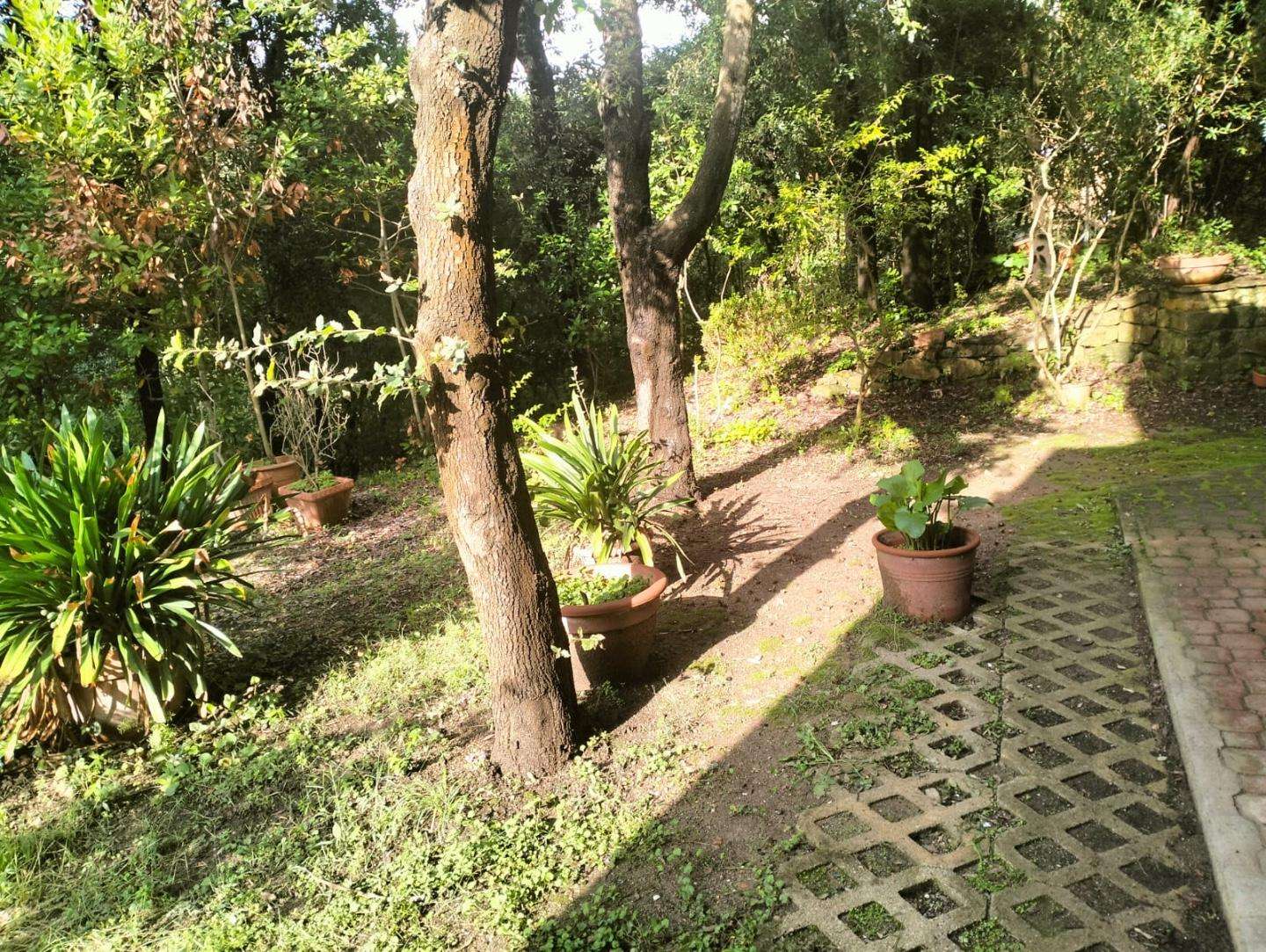  - foto 16