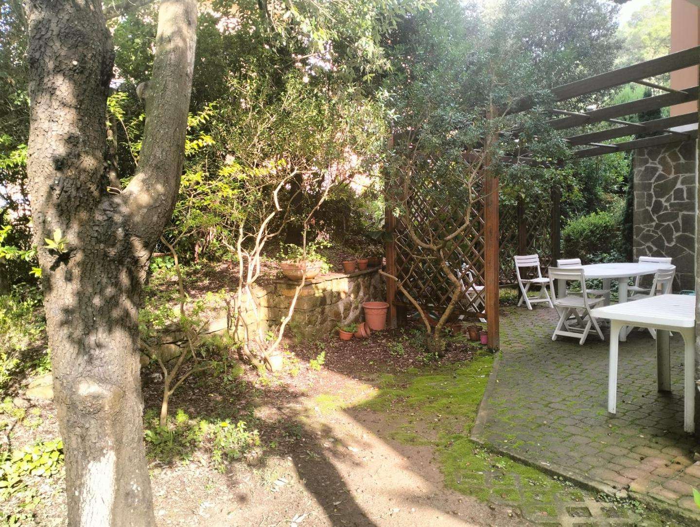  - foto 27