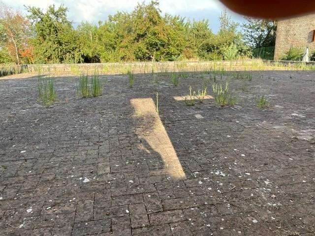  - foto 11