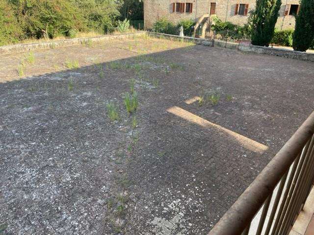  - foto 12