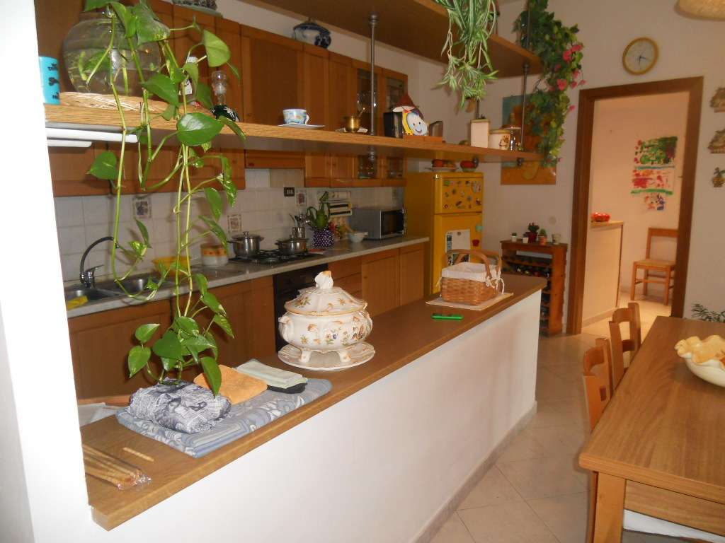  - foto 11