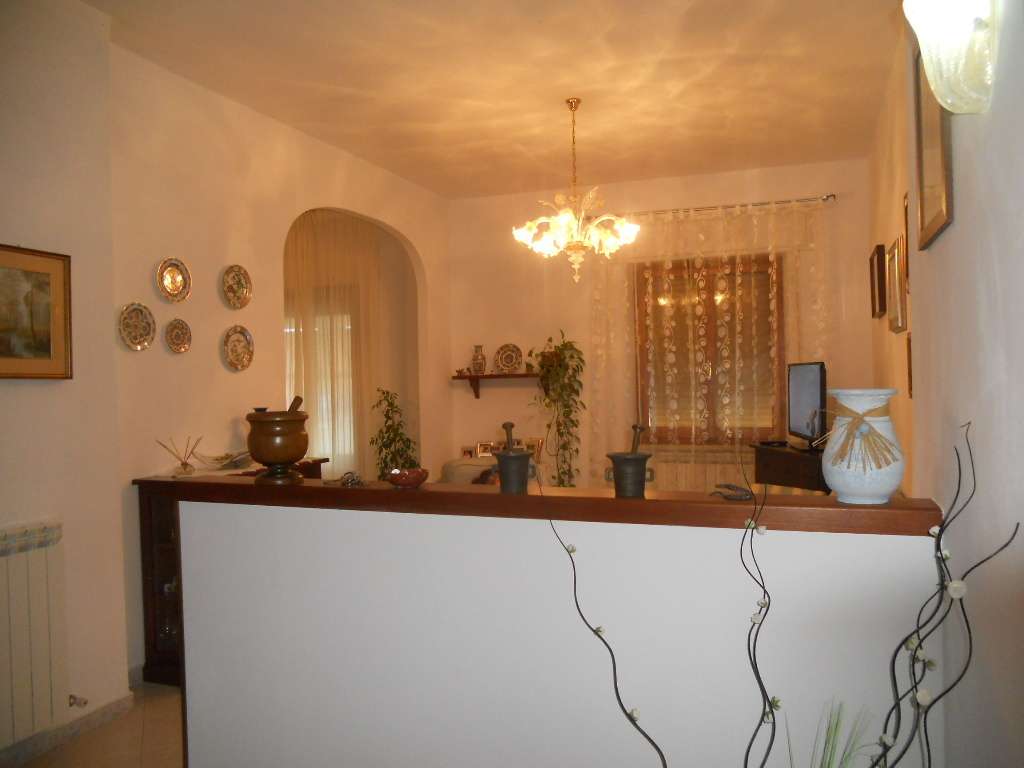  - foto 13