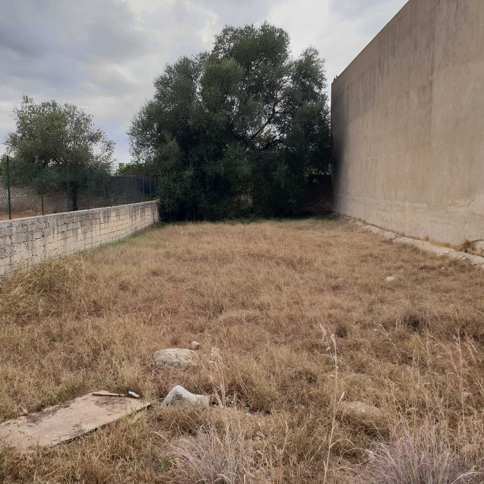 Terreno edificabile via Greco, Floridia