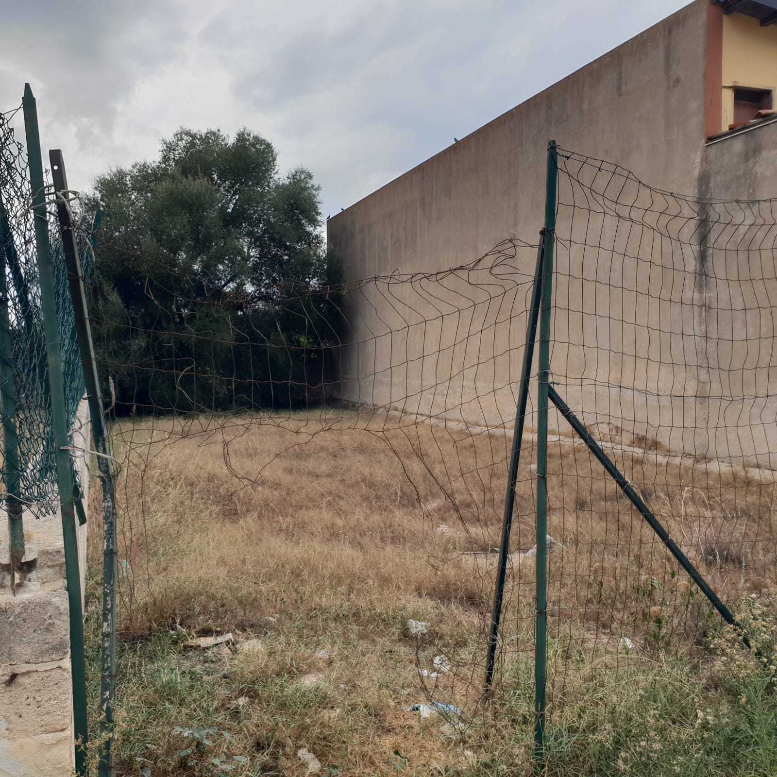  - foto 4
