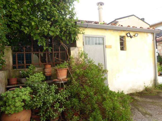 immagine annuncio 10 di 14