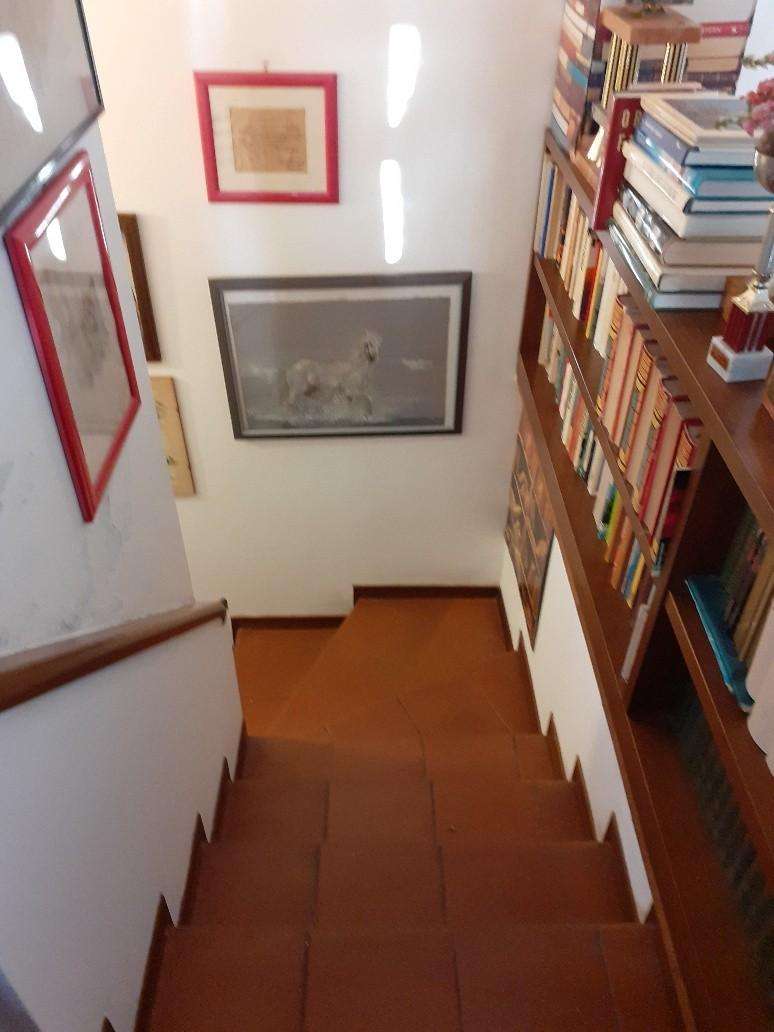  - foto 6
