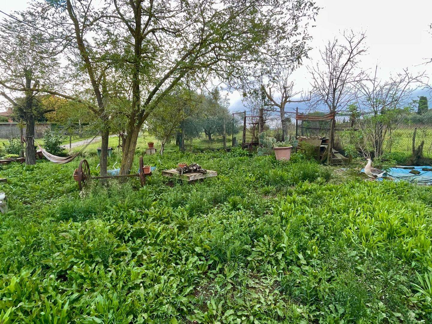Terreno agricolo Via Aretina,, Castelnuovo Berardenga
