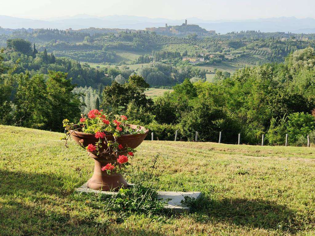 casa indipendente in vendita a San Miniato in zona Cusignano