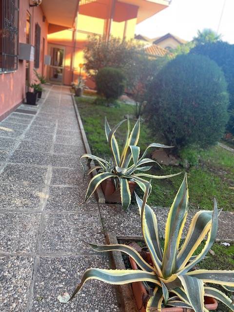  - foto 29