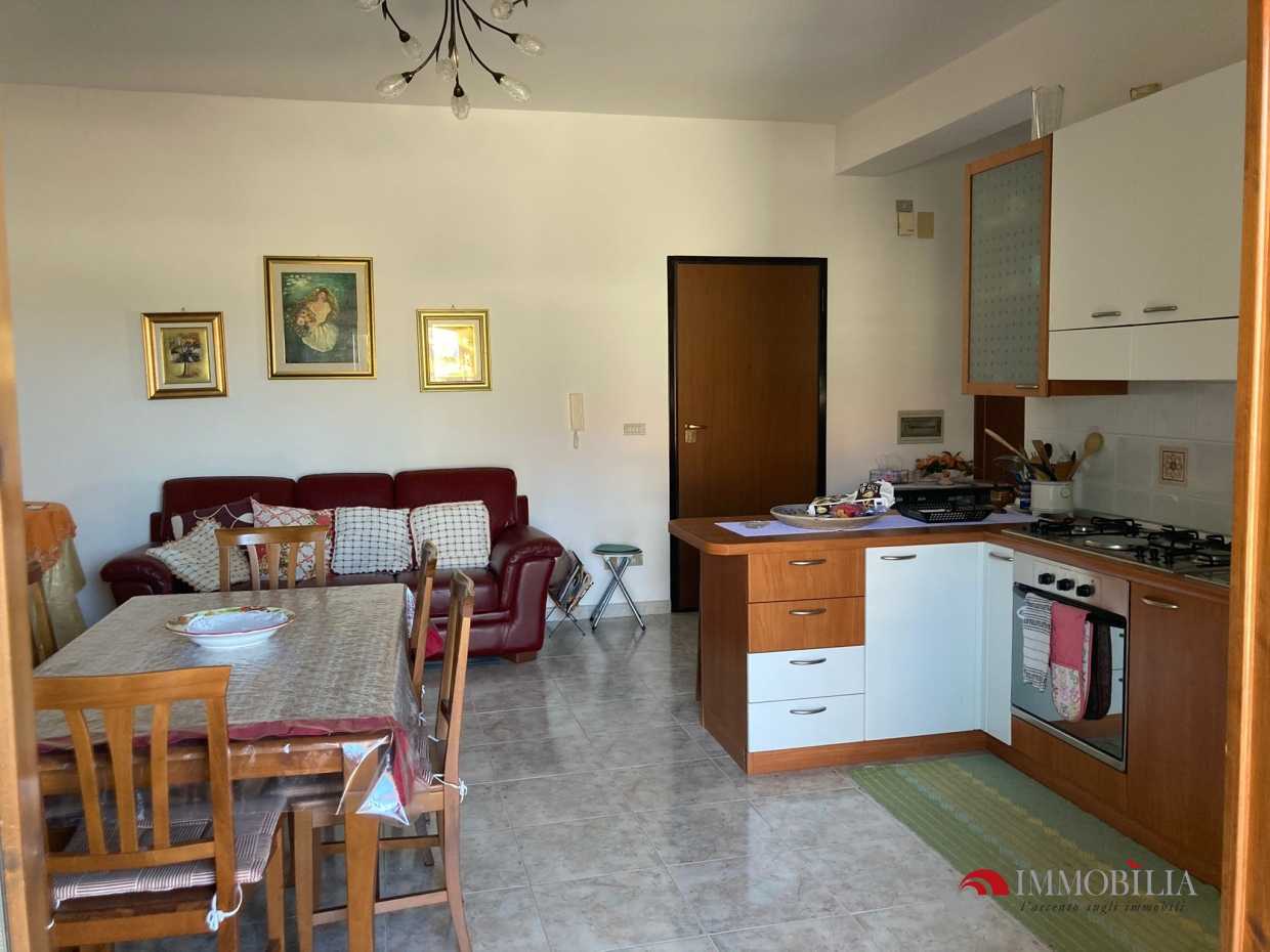 immagine annuncio 3 di 7