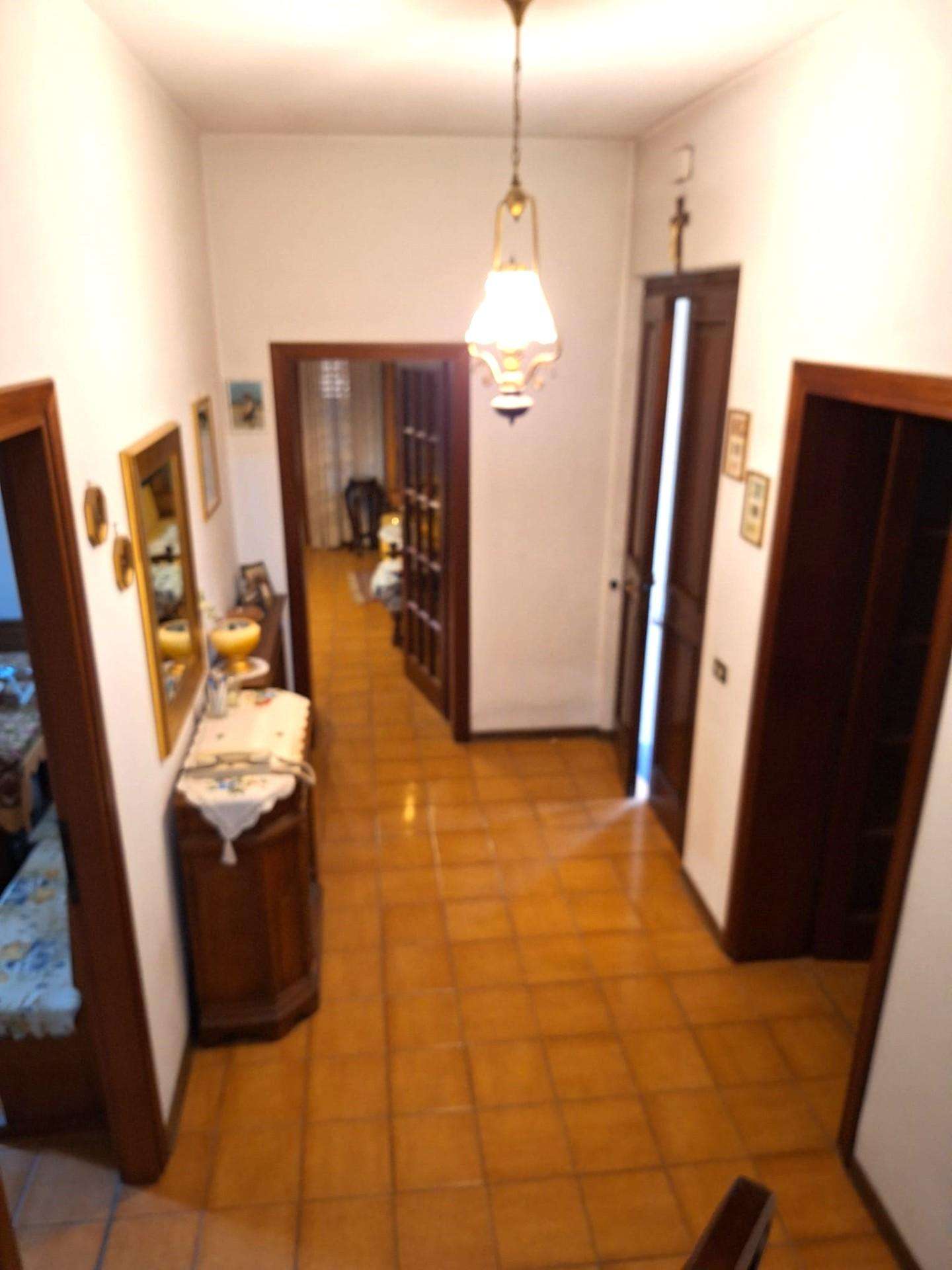  - foto 14
