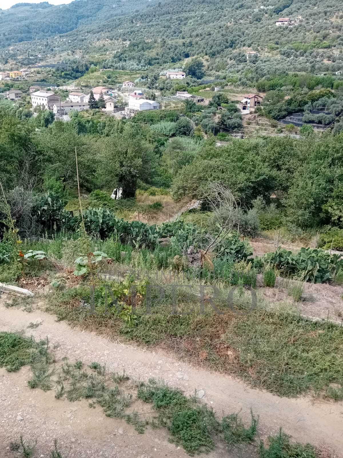  - foto 14
