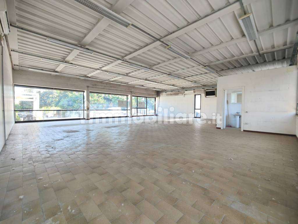  - foto 11
