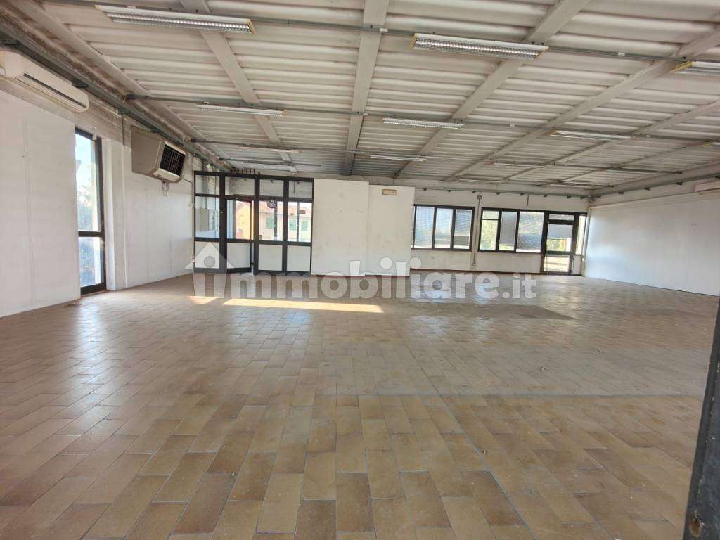  - foto 15