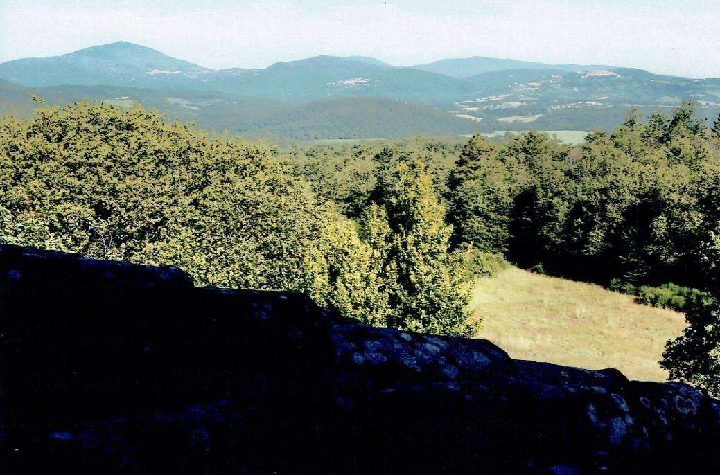  - foto 7