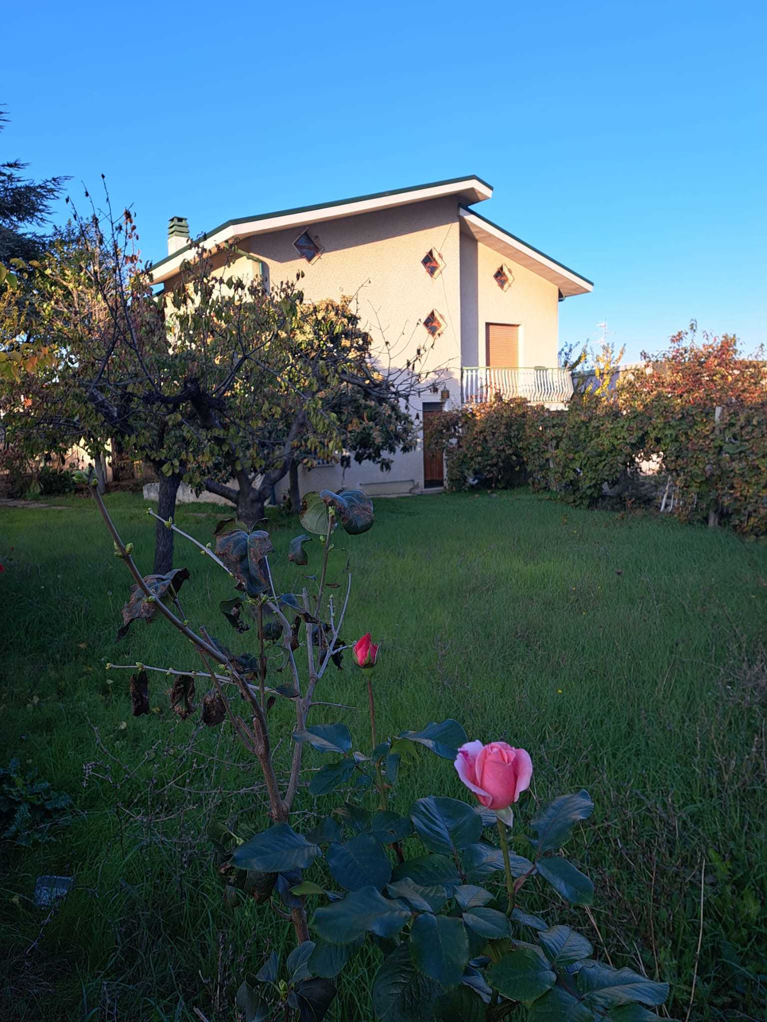  - foto 29