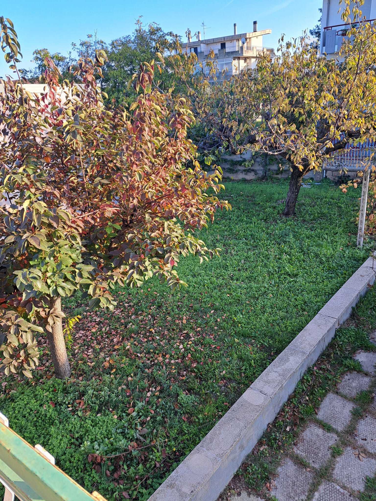  - foto 30