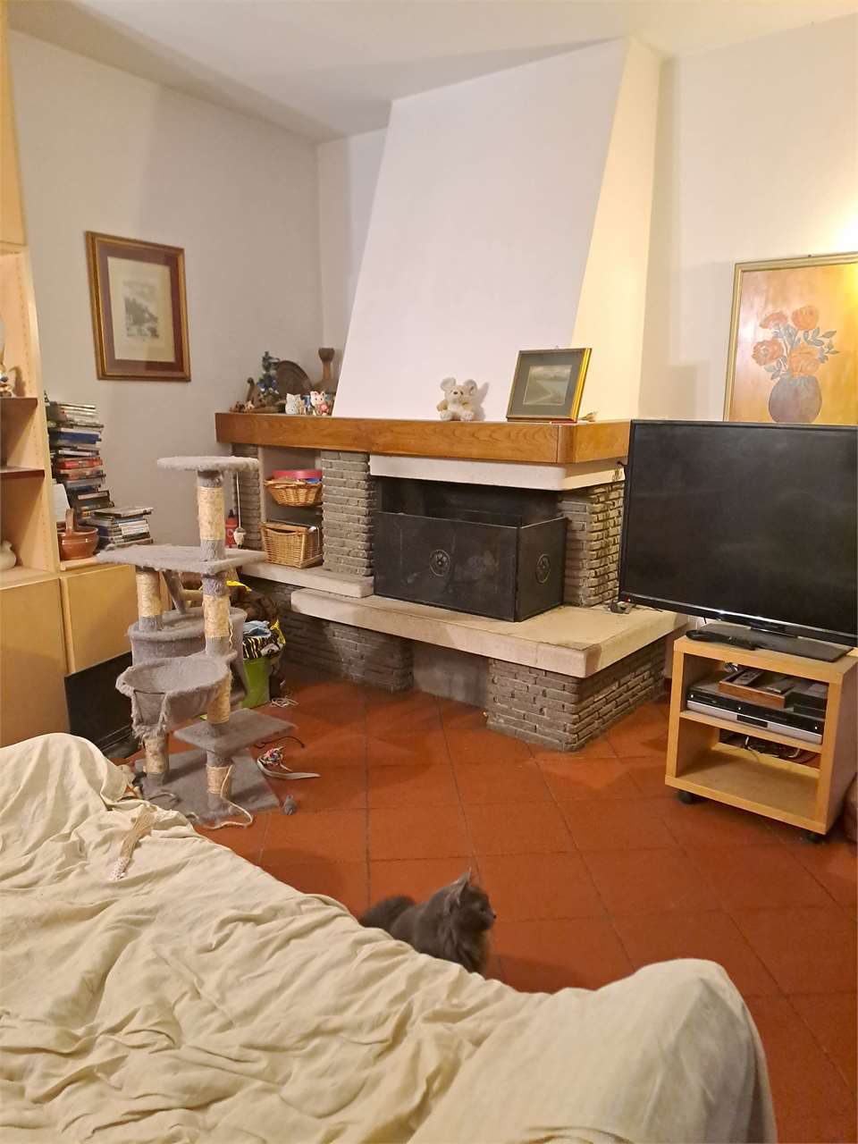  - foto 5