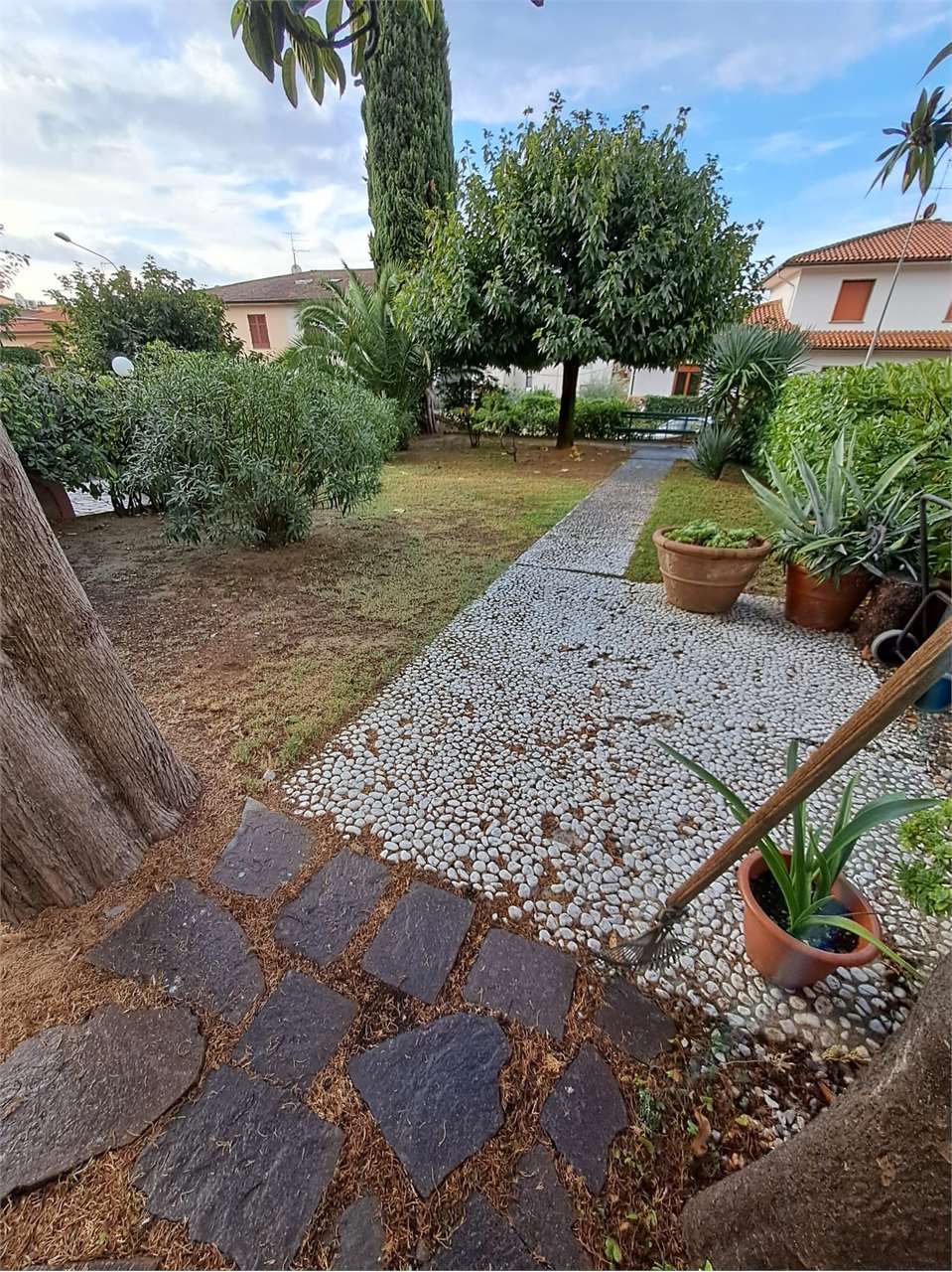  - foto 31