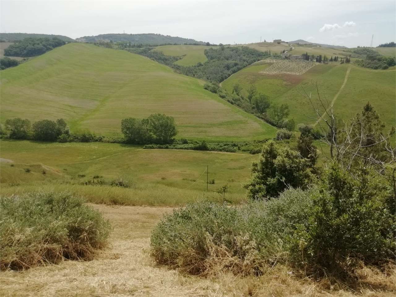  - foto 15